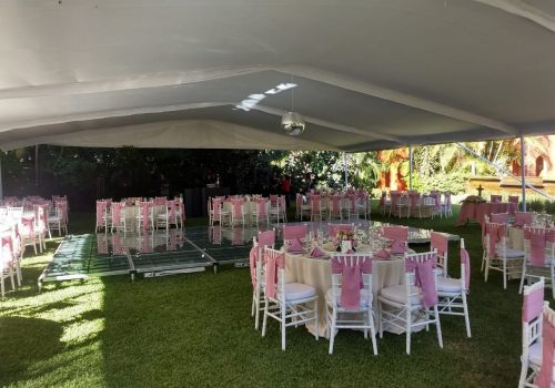 Carpa Tradicional